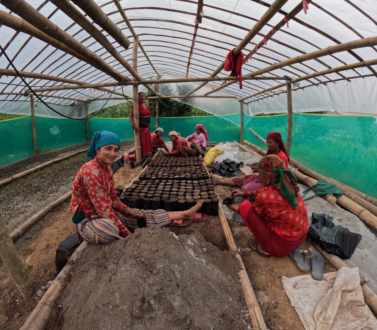 Women filling grow bags with soil inside the bamboo nursery